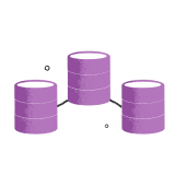 Data Quality Audit